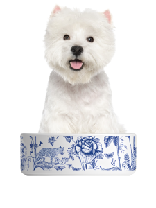 Coco Ceramic Pet Bowl