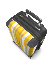 Safari 25 Innovative 4 Wheel Suitcase