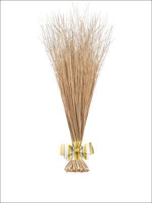 The Village Broom I