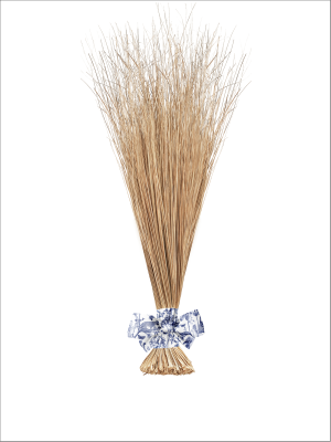 The Village Broom II