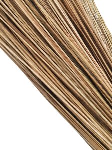 The Village Broom II